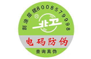 app6_p1.jpg